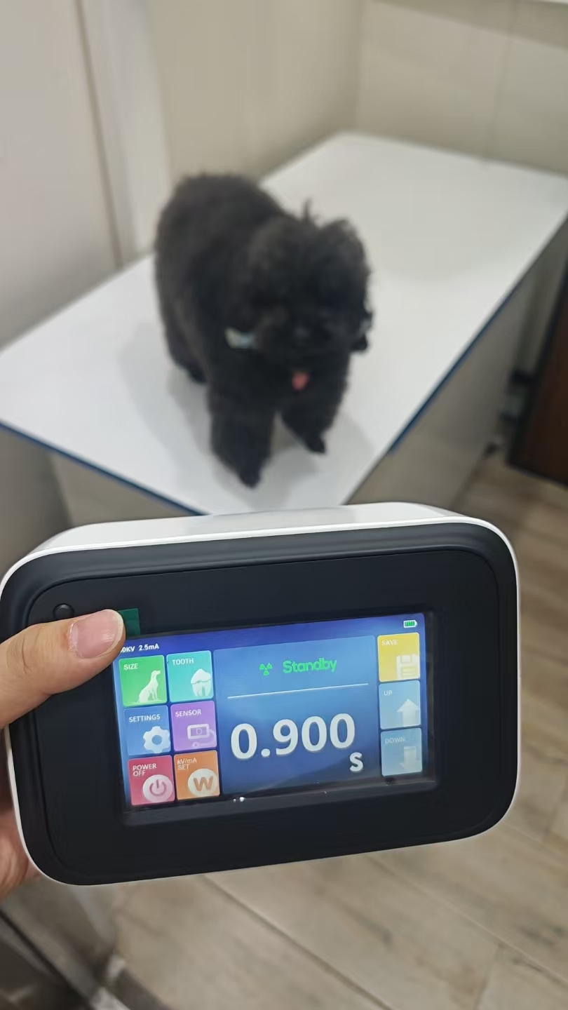 CGV-DR07 Portable Handheld Veterinary X-ray System image 2