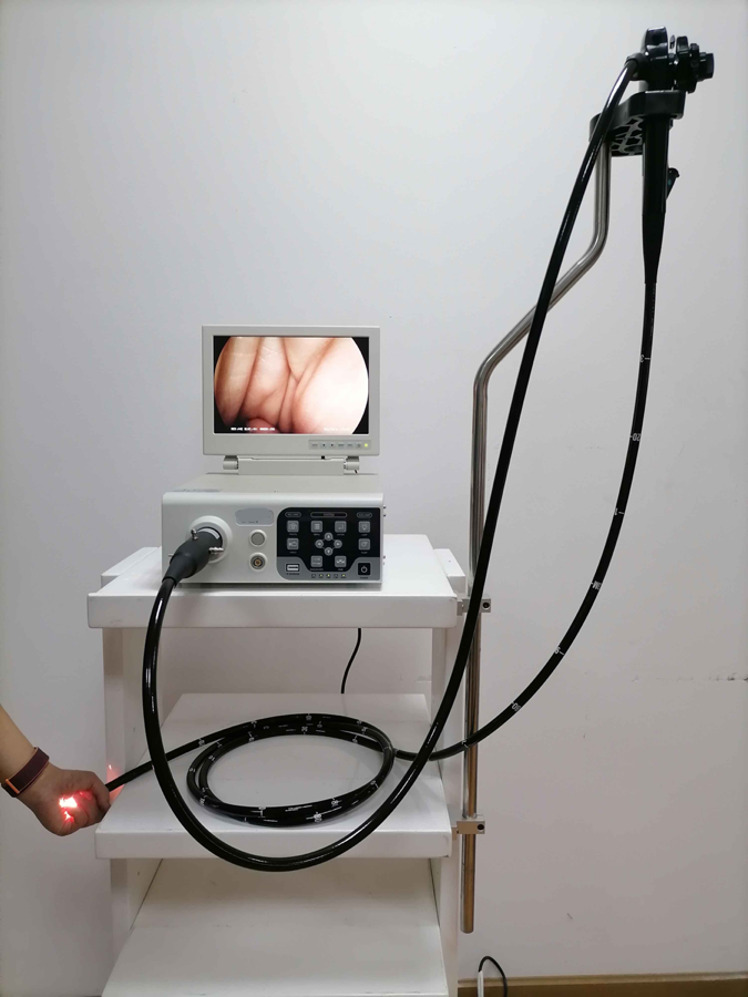 CGV-300 Veterinary Endoscopy Solution image 3