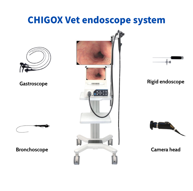 CGV-300H veterinary endoscope system compatibility