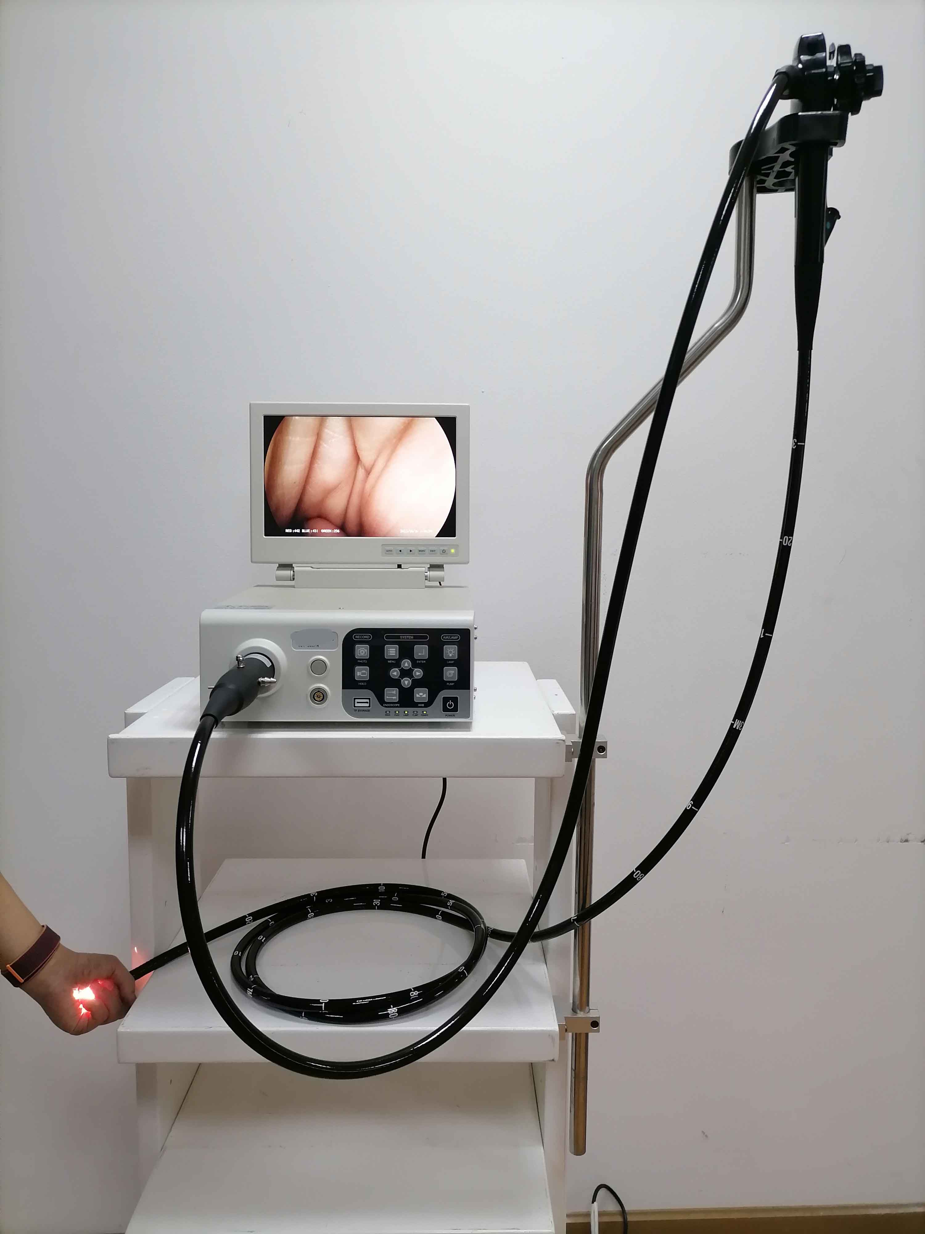 CGV-300H veterinary endoscopy clinical configuration