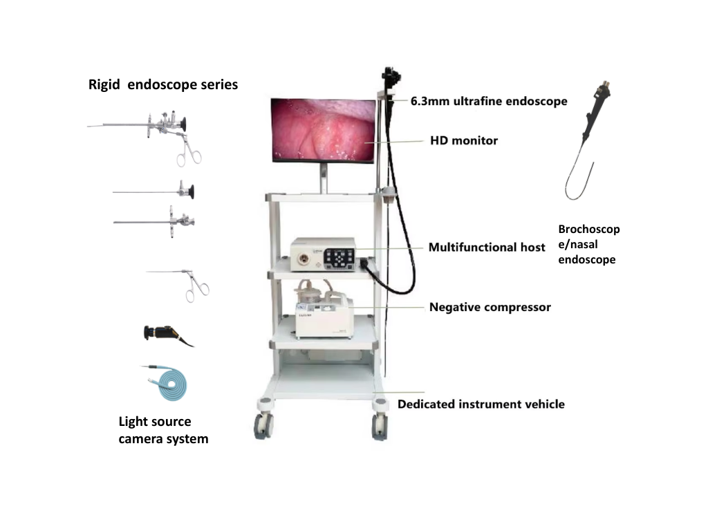 CGV-300 Veterinary Endoscopy Solution
