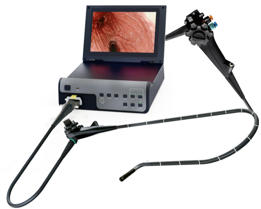 CGV-G Veterinary Gastroscope Series