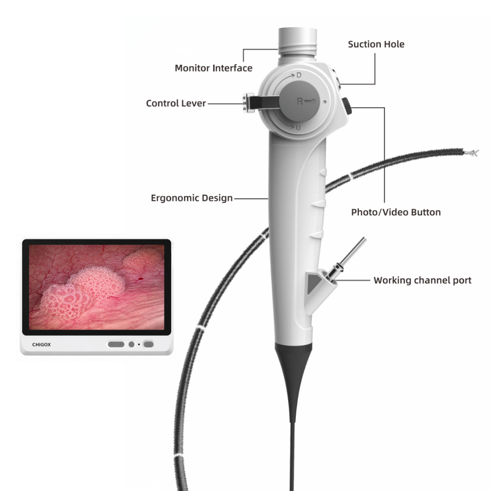 CGC-350R Series Reusable Flexible Cystoscope
