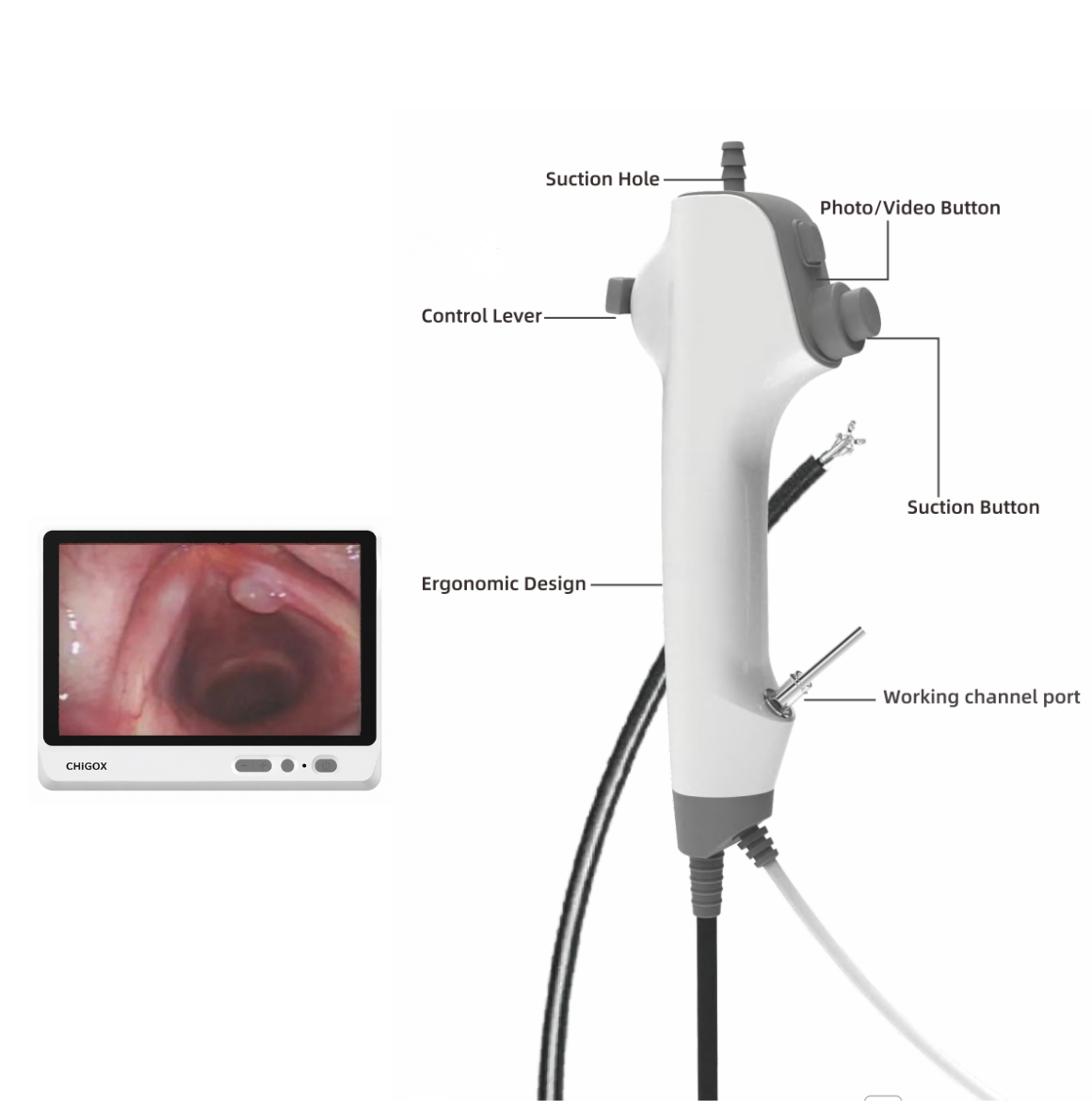 CGN-350D Series Disposable Flexible Nasopharyngoscope
