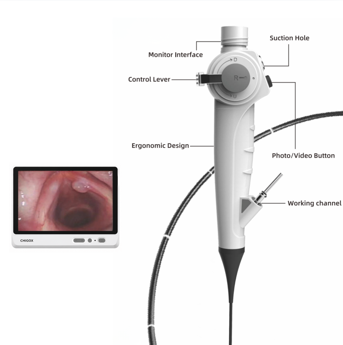 CGN-350R Series Reusable Flexible Nasopharyngoscope